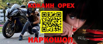 прущие грибы Ирбит