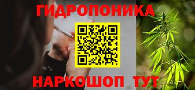 прущие грибы Ирбит
