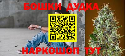 прущие грибы Ирбит
