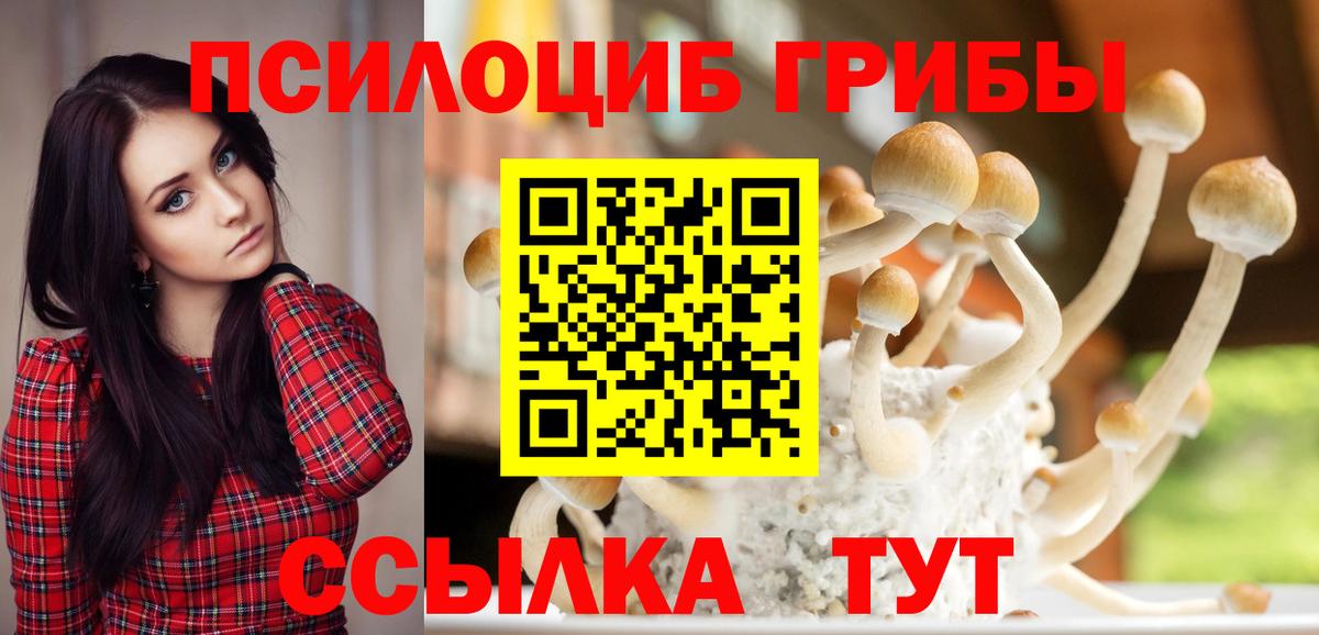 Псилоцибиновые грибы ЛСД  Галлюциногенные грибы мухоморы  купить наркоту  Вход с VPN  Михайловка 