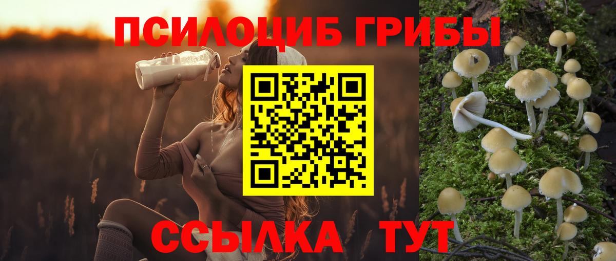 Галлюциногенные грибы мухоморы Михайловка